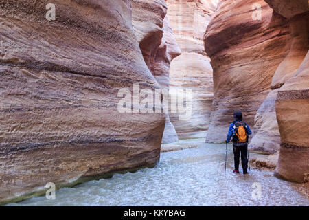 Scenic route of the water hike in Wadi Hassa, Jordan, Middle East Stock Photo