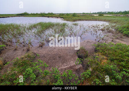 Dry lake in the tundra, Sakhalin Island, Russia Stock Photo