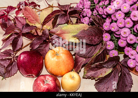 Red and yellow apples with bouquet of autumn wild grapes and small purple asters lying on light plywood Stock Photo