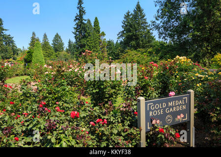 International Rose Test Garden, Portland, Oregon, USA Stock Photo