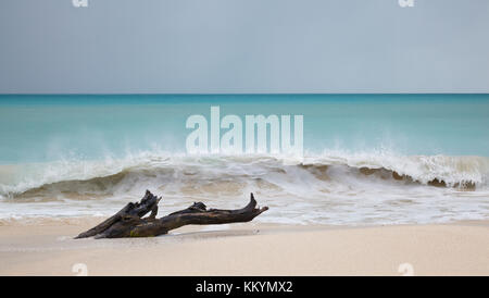 Stormy weather at Ffryes Beach in Antigua with driftwood in the sand. Stock Photo