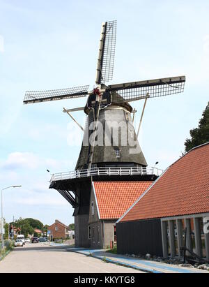 Harderwijk, corn mill De Hoop next to Vissershaven (Fishing Port, nowadays recreational harbour), Harderwijk, The Netherlands. Stock Photo