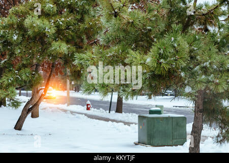 Family house with front yard in snow. Residential house on winter cloudy day winter snow tree Stock Photo