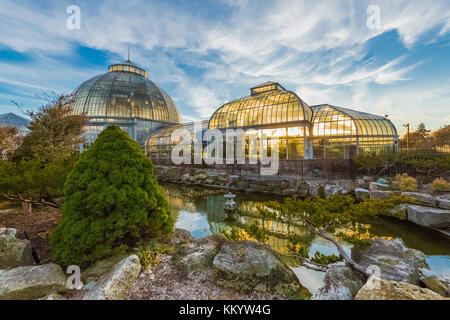 Exterior view, from the Lily Pond, of greenouses backlit by the setting sun at the Anna Scripps Whitcomb Conservatory in Belle Isle Park, Detroit, Mic Stock Photo