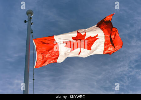 Flag of Canada flying against a blue sky in Vancouver, BC, Canada Stock Photo