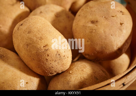 whole, fresh, raw white potatoes from Lancaster County, Pennsylvania, USA Stock Photo