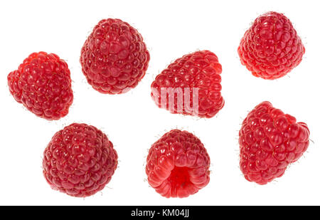 Group of delicious juicy forest raspberries. Collection of individual red fruits isolated on white background. Stock Photo