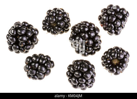 Group of delicious juicy forest blackberries. Collection of individual black fruits isolated on white background. Stock Photo