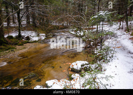Mountain river, stream, creek with rapids in late autumn, early winter with snow, vintgar gorge, Slovenia Stock Photo