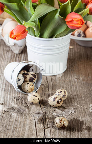Quail eggs and bouquet of red tulips in white bucket on old wooden table Stock Photo