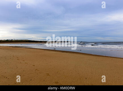 River Wansbeck Estuary, Cambois, Northumberland Stock Photo