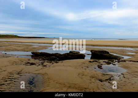 River Wansbeck Estuary, Cambois, Northumberland Stock Photo