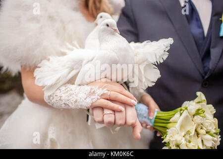 Two snow-white doves sitting on the arm Stock Photo