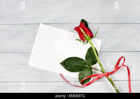 Beautiful single long stem red rose with blank card and room for copy space. Stock Photo