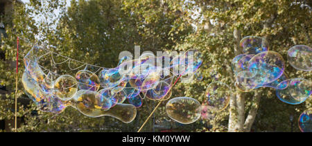 Close up of multiple round iridescent bubbles and the bamboo sticks and string used to make them. Shallow depth of field with trees in the background. Stock Photo