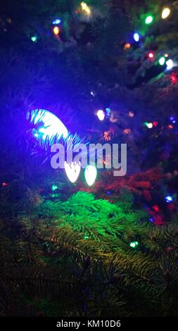 LED Christmas lights on a pine tree. Stock Photo