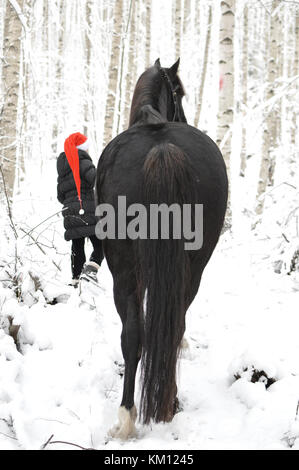 Christmas elf with a black horse in a snowy winter forest Stock Photo