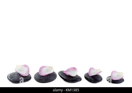 Spa stones aligned with rose petals on white background.copy-text on top Stock Photo