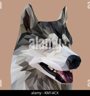 Husky low poly design. Triangle vector illustration. Stock Photo