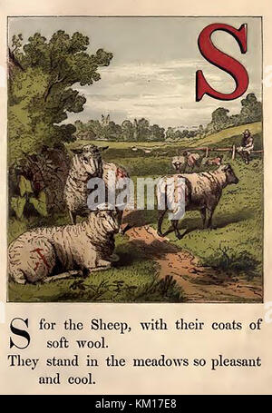 An historic  coloured Victorian children's ABC book illustration - S for Sheep in a British farmer's field Stock Photo