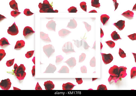 red flower petals breeze, isolated on white. Stock Photo