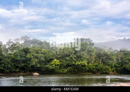 Amazonian rainforest. Misahualli River. Napo province, Ecuador Stock Photo