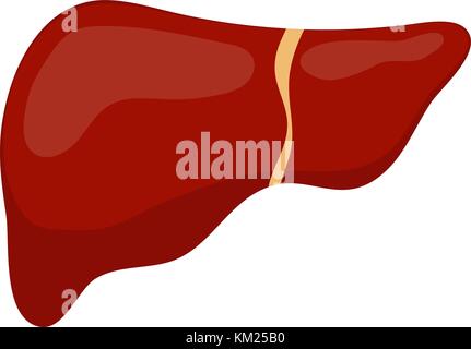 Liver icon, flat style. Internal organs of the human design element, logo. Anatomy, medicine concept. Healthcare. Isolated on white background. Vector illustration. Stock Vector