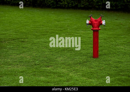 Red fire hydrant on green lawn with copy space at the left side Stock Photo