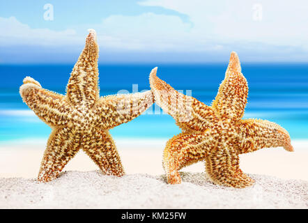 Two sea stars on the background of the sea shore. The concept of a romantic trip or marriage proposal in a romantic setting Stock Photo
