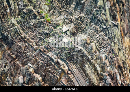 Layers of sedimentary rock on an exposed rock face at the Ovens Natural Park, Nova Scotia, Canada. Stock Photo