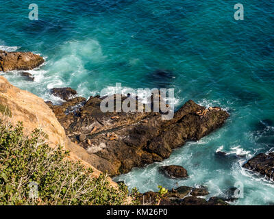 Seals at Malibu, emerald and blue water in a quite paradise beach surrounded by cliffs. Dume Cove, Malibu, California, CA, USA Stock Photo