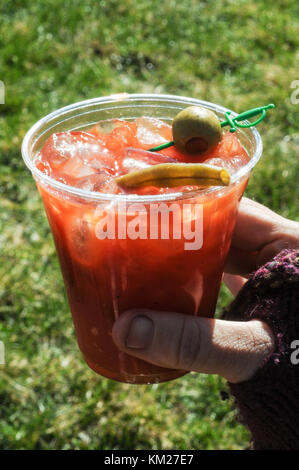 https://l450v.alamy.com/450v/km27e7/bloody-mary-in-a-plastic-cup-outside-km27e7.jpg