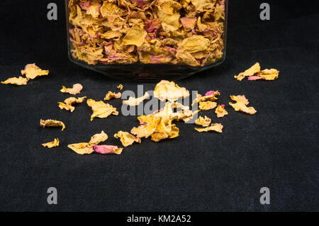 dried rose petals in a glass jar with lid on a black background Stock Photo