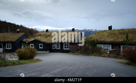 Grass roofed cabins in Alesund, Norway with backdrop of a snow covered mountain Stock Photo