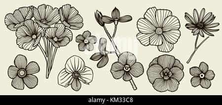 Collection of hand drawn flowers and plants. Monochrome vector illustrations in sketch style. Stock Vector