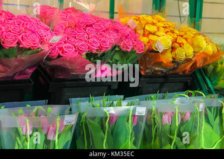 Selling colorful Dutch tulips and roses, the Netherlands Stock Photo