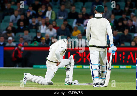 Australia's Nathan Lyon goes down after being struck in the last over during day three of the Ashes Test match at the Adelaide Oval, Adelaide. Stock Photo