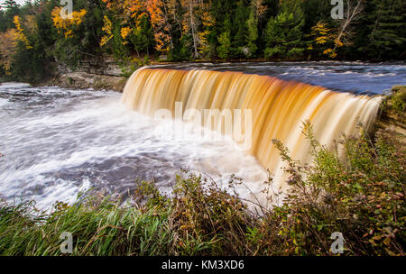 Tahquamenon Falls In Michigan. Autumn at beautiful Tahqua Falls in the Upper Peninsula of Michigan. Tahquamenon Falls State Park in Paradise, Michigan Stock Photo