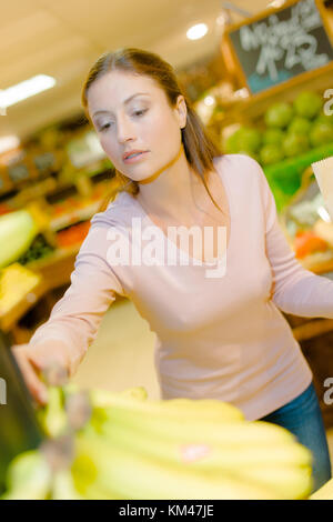 Picking a bunch of bananas Stock Photo