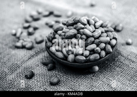 Arachis hypogaea, Raw fresh peanuts in a clay bowl on gunny background Stock Photo