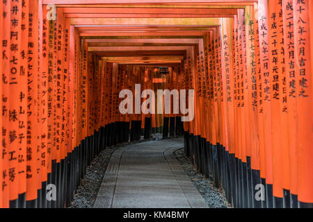 Curved corridor of Red Torii gates at Fushimi Inari Taisha Shinto ...