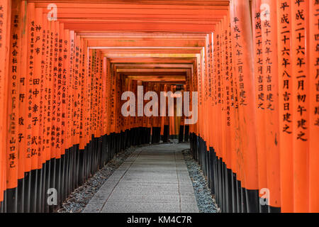 Curved corridor of Red Torii gates at Fushimi Inari Taisha Shinto ...