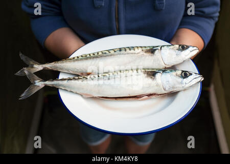 A woman holding a plate with two fresh mackerel fish on it. Gutted and ready for cooking. Stock Photo