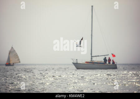 Sailing boats regatta with white sails in the sea Stock Photo
