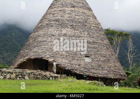 A single hut in Wae Rebo traditional village in Indonesia. These massive huts are built by the local aboriginal people.Thatched roofs with multiple le Stock Photo