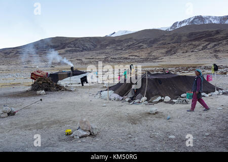Morning in Changpa nomads camp, Tso Moriri, Ladakh, Jammu and Kashmir, India. Stock Photo