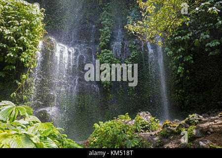 Benang Kelambu Waterfall in tropical forest near the village Aik Berik, North Batukliang, Central Lombok, Indonesia Stock Photo