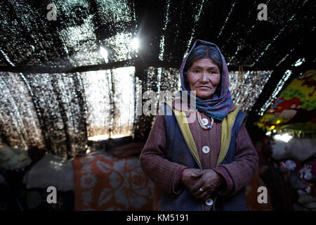 Woman from Changpa nomads wearing a head scarf in her traditional tent from yak wool, Ladakh, Jammu and Kashmir, India. Stock Photo