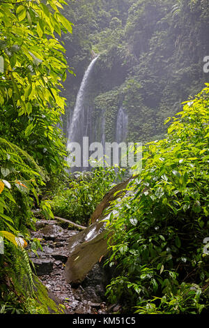 Air Terjun Tiu Kelep waterfall near Senaru in the tropical rainforest on the slopes of the Rinjani volcano, Central Lombok, Indonesia Stock Photo