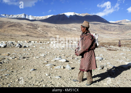 A man from Changpa nomads on his way to take his herd of goats to the mountains, Tso Moriri, Ladakh, Jammu and Kashmir, India. Stock Photo